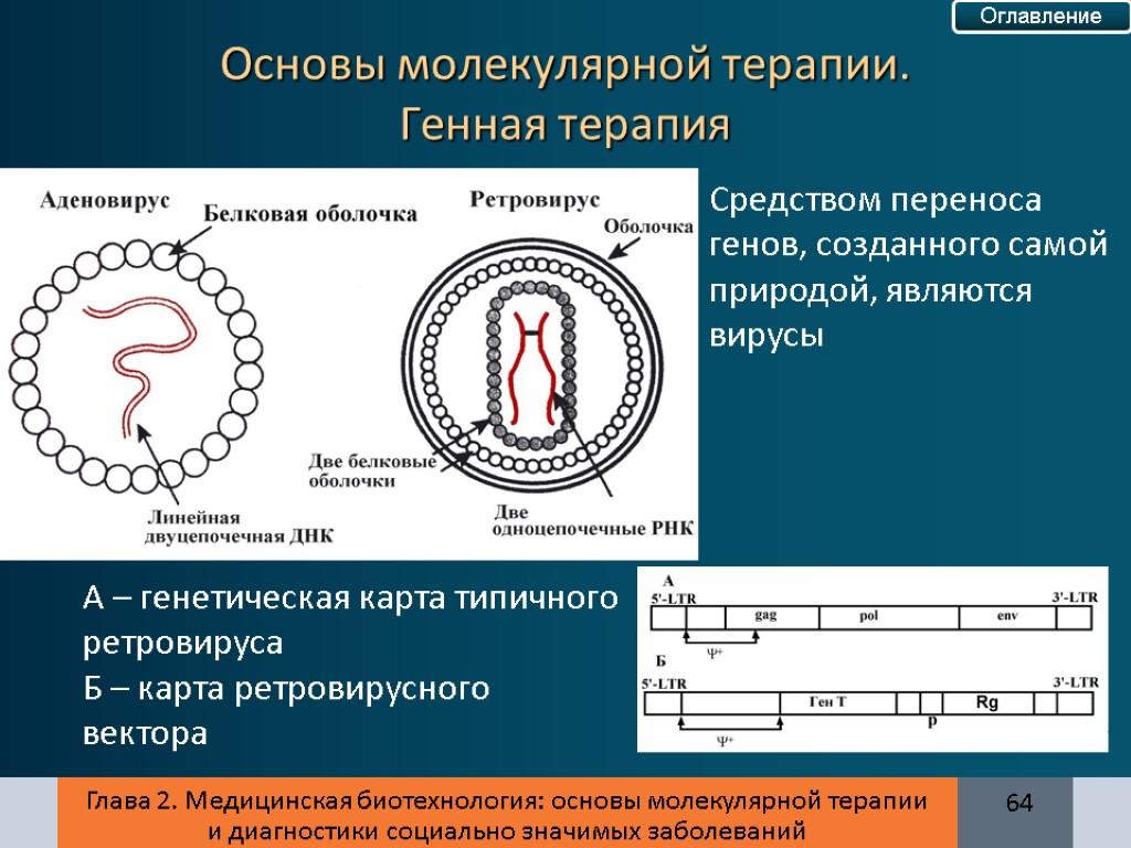 Глава 2. Медицинская биотехнология: основы молекулярной терапии и диагностики социально значимых заболеваний Средством переноса